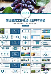 葡萄庄园新疆葡萄葡萄酒PPT