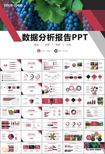 葡萄庄园新疆葡萄葡萄酒PPT