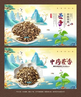 藿香海报