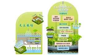 无土栽培展板