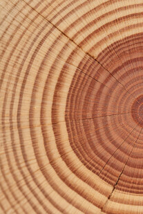 木纹年轮特写
