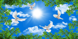 蓝天白云天顶画