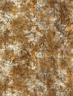 斑驳棕褐色岩石纹理