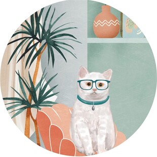 戴眼镜的时尚猫咪