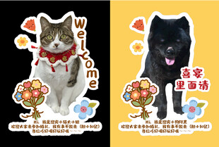 可爱猫狗装饰贴纸展示