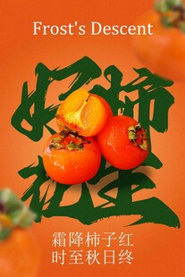 霜降柿子节气节日海报