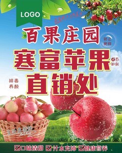 百果庄园寒富苹果直销处