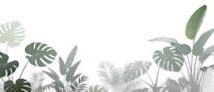 雾气磨砂膜效果绿植贴图