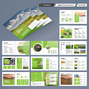 方形农产品宣传册