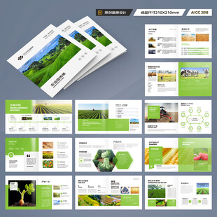 方形农产品宣传册