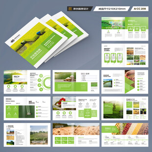 方形农产品宣传册