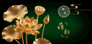 金色荷花古韵插画