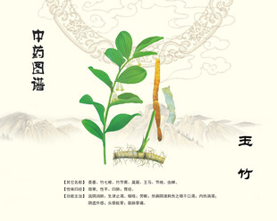中药玉竹中药材玉竹