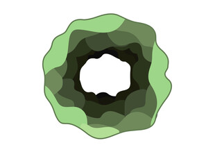 花瓣造型适量分层