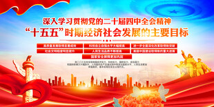 党的二十届四中全会精神