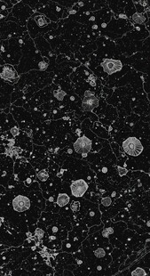 黑色背景上的白色气泡