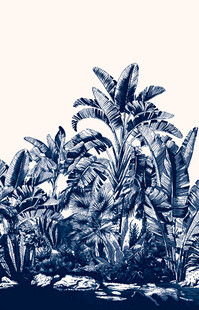 热带植物  定位花