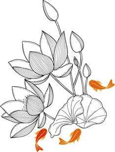 荷花金鱼图 矢量图