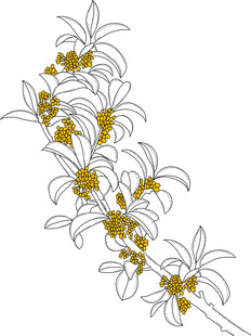 手绘黄色花朵花枝图案 矢量图