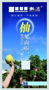 柚子朋友圈广告