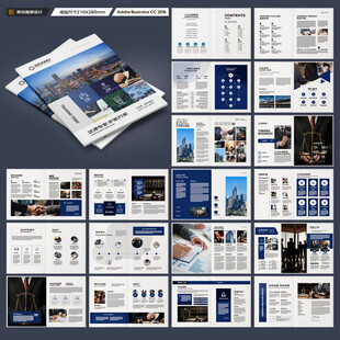 大气律师事务所画册