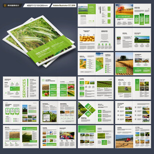农产品宣传册