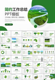 湿地环境保护生态森林业PPT