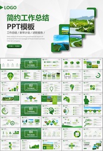 湿地环境保护生态森林业PPT