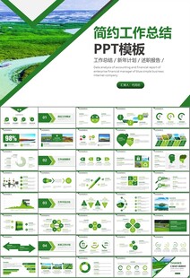 湿地环境保护生态森林业PPT
