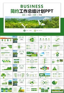 湿地环境保护生态森林业PPT