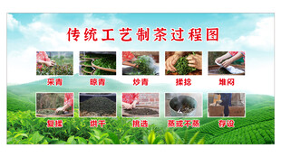 制茶工艺流程
