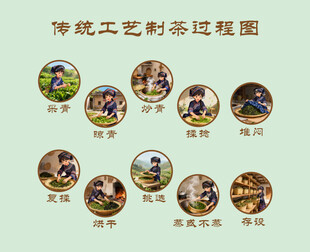 制茶工艺动漫
