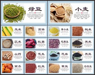 五谷杂粮文化展板