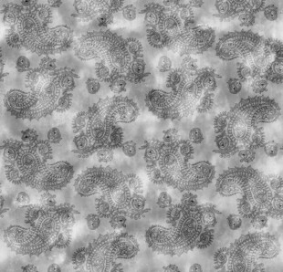 细胞显微结构图像