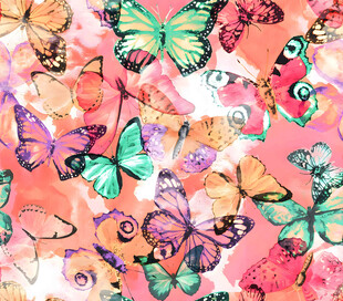 多彩蝴蝶水彩图案背景