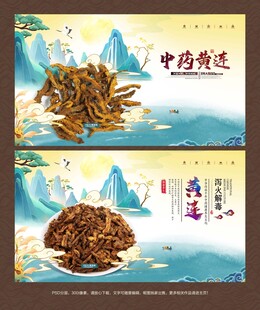 黄连海报