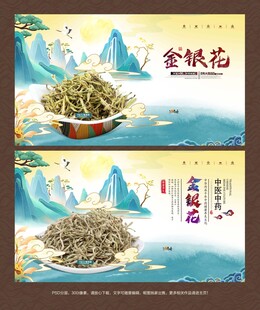 金银花海报