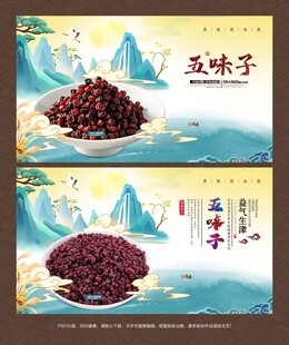 五味子海报