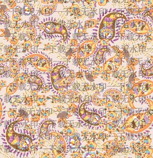 复古佩斯利花纹