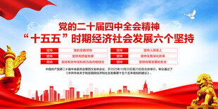 二十届四中全会