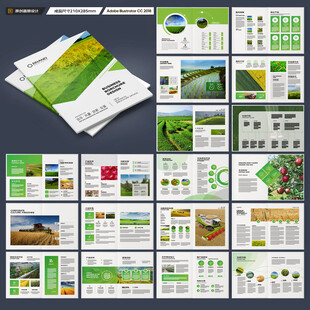 农产品宣传册
