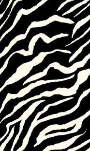 斑马纹图案纹理背景