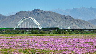 最美的青藏铁路