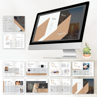 现代简约风PPT模板展示