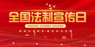 全国法制宣传日海报
