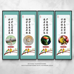 保护鸟类展板