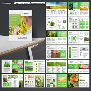 农产品宣传册