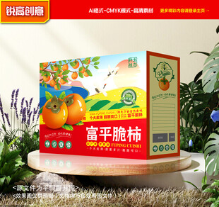 柿子包装 柿饼礼盒