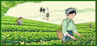 茶园采茶少女