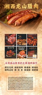 湖南特色熏腊鸭宣传海报